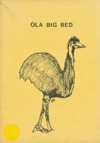 cover of the book Ola big bed