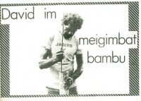 cover of the book David im meigimbat bambu