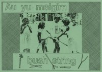 cover of the book Au yu meigim bush string