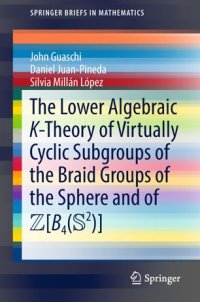 cover of the book The Lower Algebraic K-Theory of Virtually Cyclic Subgroups of the Braid Groups of the Sphere and of ZB4(S2)