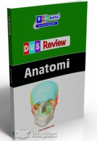 cover of the book Anatomi