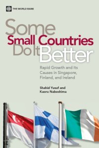 cover of the book Some Small Countries Do It Better: Rapid Growth and Its Causes in Singapore, Finland, and Ireland