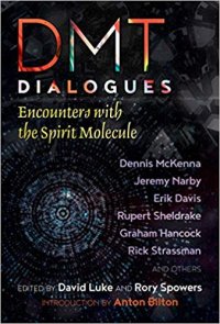 cover of the book DMT Dialogues: Encounters with the Spirit Molecule