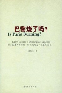 cover of the book 巴黎烧了吗?