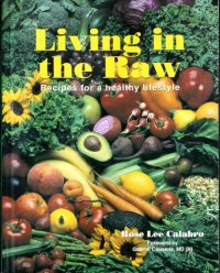 cover of the book Living in the Raw. Recipes for a Healthy Lifestyle