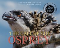 cover of the book The Call of the Osprey