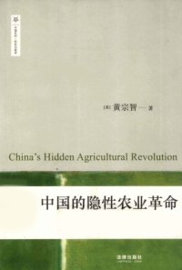 cover of the book 中国的隐性农业革命