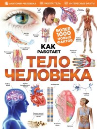 cover of the book Как работает тело человека