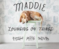 cover of the book Maddie Lounging on Things: A Complex Experiment Involving Canine Sleep Patterns