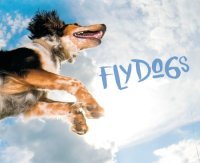 cover of the book Flydogs