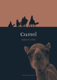 cover of the book Camel