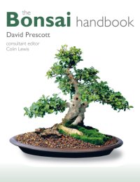 cover of the book The Bonsai Handbook