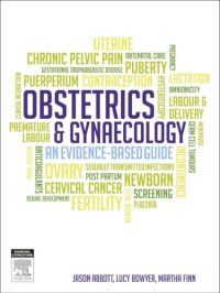 cover of the book Obstetrics and Gynaecology: An Evidence Based Gudide