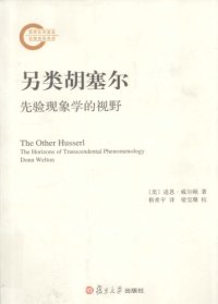 cover of the book 另类胡塞尔