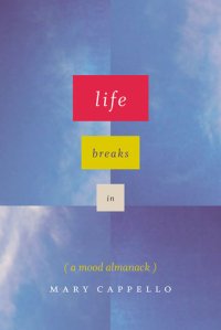 cover of the book Life Breaks In: A Mood Almanack