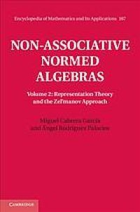 cover of the book Non-associative normed algebras. Vol.2 Representation theory and the Zel'manov approach