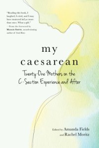 cover of the book My Caesarean: Twenty-One Mothers on the C-Section Experience and After