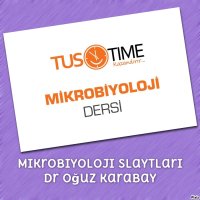 cover of the book Mikrobiyoloji Slaytları