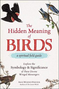 cover of the book The Hidden Meaning of Birds--A Spiritual Field Guide: Explore the Symbology and Significance of These Divine Winged Messengers