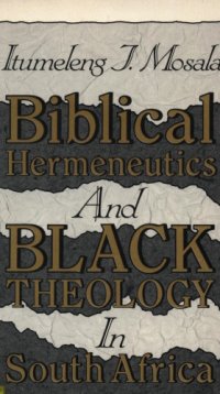 cover of the book Biblical hermeneutics and black theology in South Africa