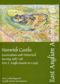 cover of the book Norwich Castle: Excavations and Historical Survey, 1987-98. Part I: Anglo-Saxon to c. 1345