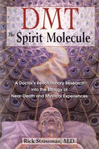 cover of the book DMT: The Spirit Molecule: A Doctor’s Revolutionary Research into the Biology of Near-Death and Mystical Experiences