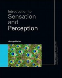 cover of the book Essentials of Sensation and Perception