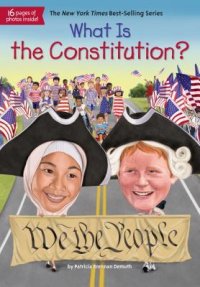 cover of the book What Is the Constitution?