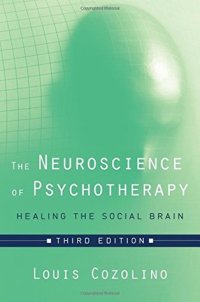 cover of the book The Neuroscience of Psychotherapy: Healing the Social Brain