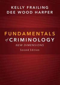 cover of the book Fundamentals of Criminology: New Dimensions