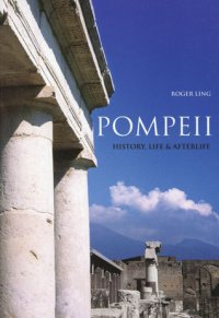 cover of the book Pompeii: History, Life Afterlife