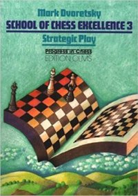 cover of the book Strategic play