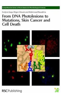 cover of the book From DNA photolesions to mutations, skin cancer and cell death