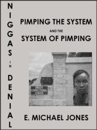 cover of the book Niggas in Denial: Pimping the System and the System of Pimping