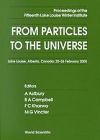 cover of the book From particles to the universe : proceedings of the fifteenth Lake Louise Winter Institute, Lake Louise, Alberta, Canada, 20-26, February 2000