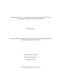 cover of the book Homonationalism on TV? A Critical Discourse Analysis of Queer and Trans* Youth Representations on Mainstream Teen Television Shows