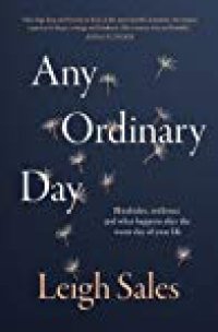 cover of the book Any Ordinary Day: Blindsides, Resilience and What Happens after the Worst Day of Your Life