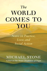 cover of the book The World Comes to You: Notes on Practice, Love, and Social Action