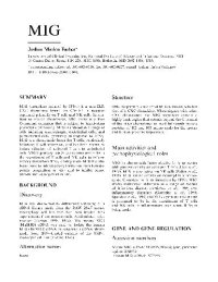 cover of the book MIG