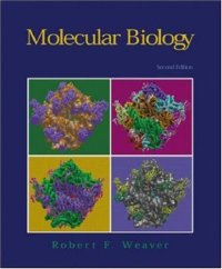 cover of the book Molecular Biology