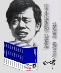 cover of the book 王小波全集