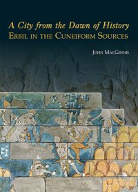 cover of the book A City from the Dawn of History: Erbil in the Cuneiform Sources