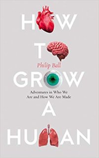 cover of the book How to Grow a Human Adventures in Who We Are and How We Are Made