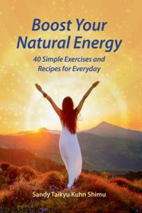 cover of the book Boost Your Natural Energy: 40 Simple Exercises and Recipes for Everyday