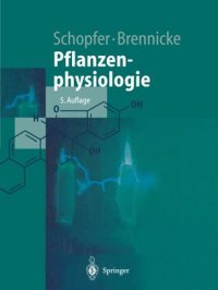 cover of the book Pflanzenphysiologie