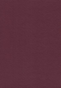 cover of the book Encyclopedia of World Cultures: North America