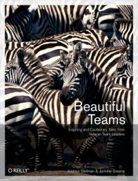 cover of the book Beautiful Teams