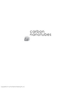 cover of the book Carbon Nanotubes: From Bench Chemistry to Promising Biomedical Applications