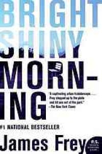 cover of the book Bright Shiny Morning