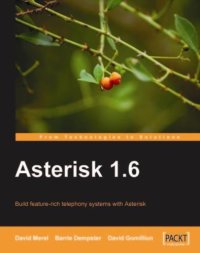 cover of the book Asterisk 1.6: build feature-rich telephony systems with Asterisk. - Description based on resource description page